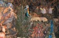 Всяке дихання да хвалить Господа, усілякий дух Господа Бога хвалить.